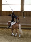 voltitag 2009 _CD1 152